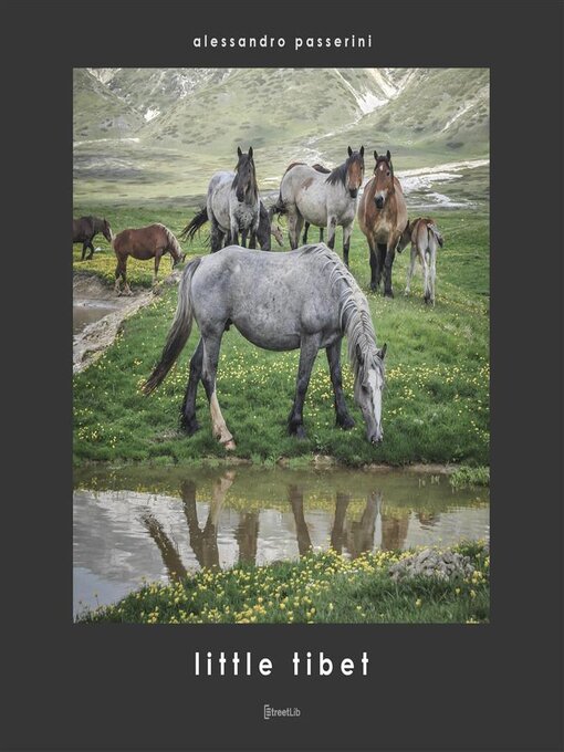 Title details for Little Tibet by Alessandro Passerini - Available